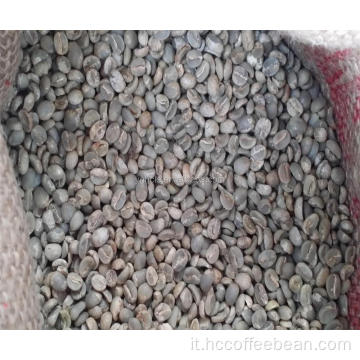 Chicchi di caffè verde grezzo arabica al 100%